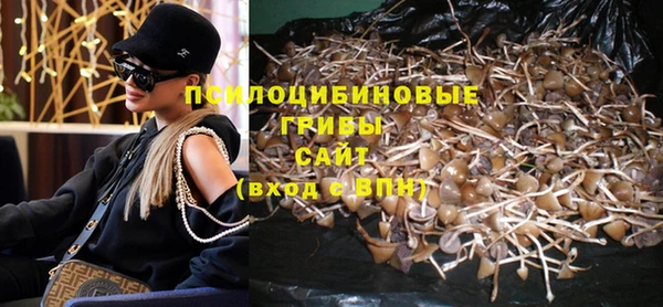 дурь Армянск
