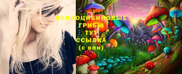 дурь Армянск