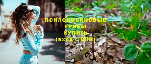 марки lsd Аркадак