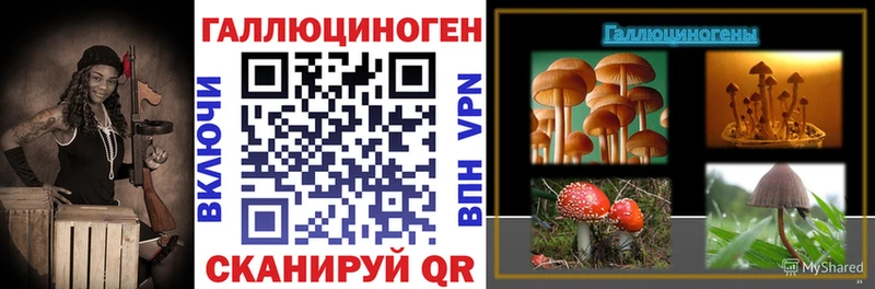 Галлюциногенные грибы Cubensis  Макарьев 